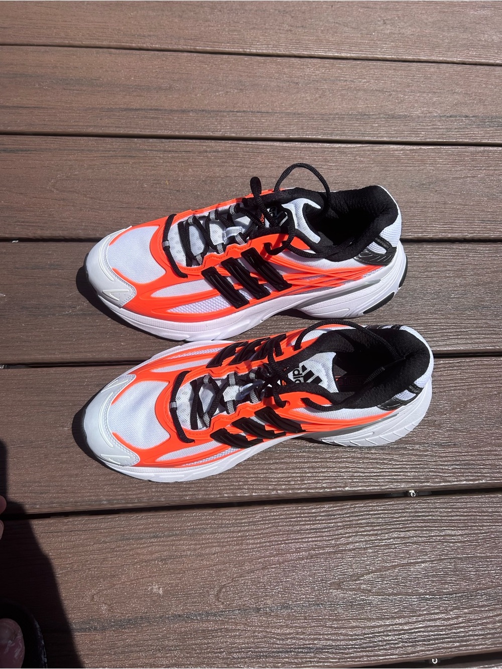 Addistar XLG 2.0 (New Without Tags or Box) Size 11